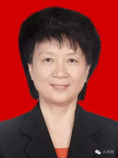 河南省委常委最新職務(wù)分配及其背后的故事揭秘