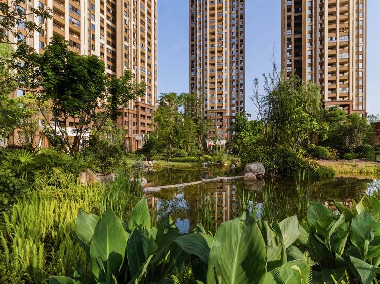 北湖國際城最新房價信息與自然美景探索之旅