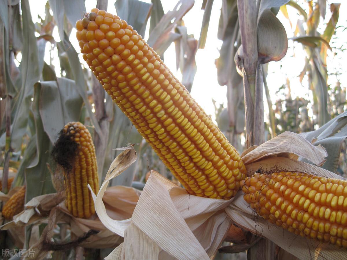 深股市行情下的高科技產(chǎn)品概覽