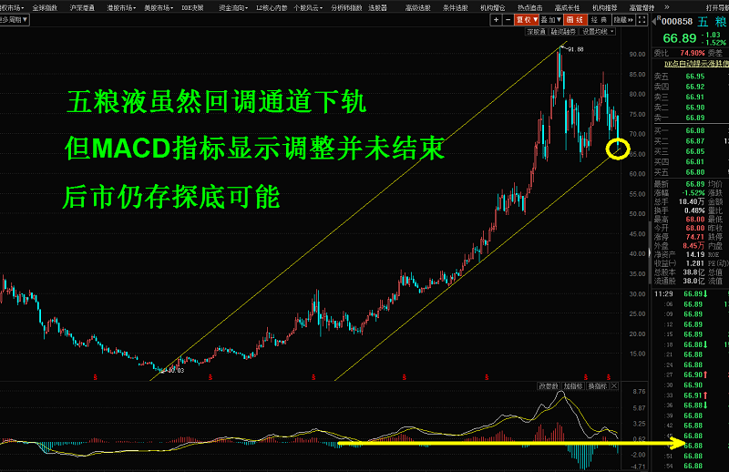 股票趨勢(shì)理論的深度分析與個(gè)人觀點(diǎn)探討