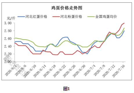 最新淘汰雞價(jià)格動(dòng)態(tài)更新