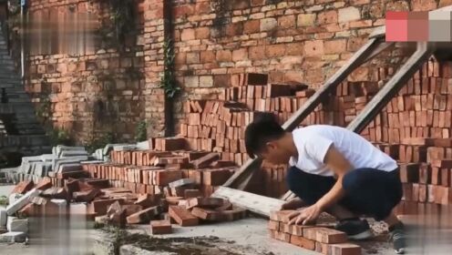 搬磚小偉最新動態(tài)揭秘，大自然中的治愈之旅