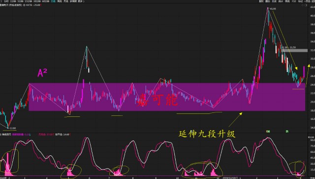 300002股票行情深度解析及前景展望