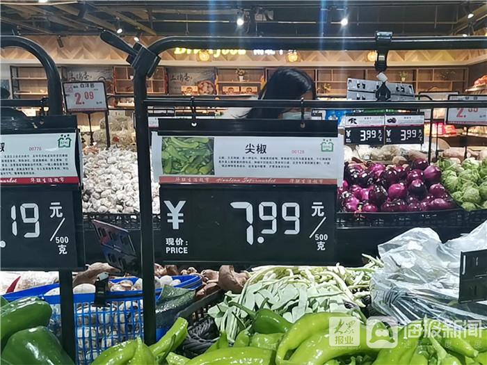 黃瓜市場(chǎng)價(jià)格動(dòng)態(tài)分析或更新報(bào)告