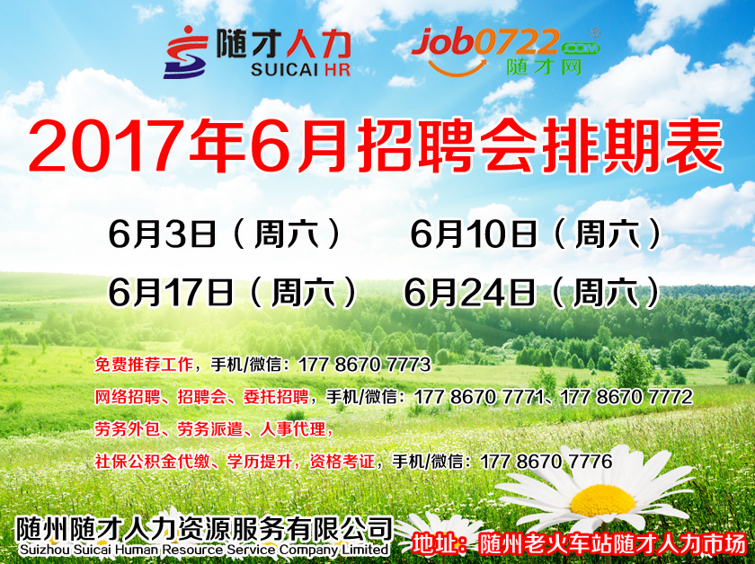 隨州最新招聘信息多角度解析與觀點(diǎn)論述