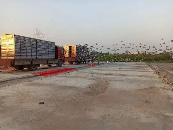 江門(mén)同樂(lè)公棚最新公告更新通知