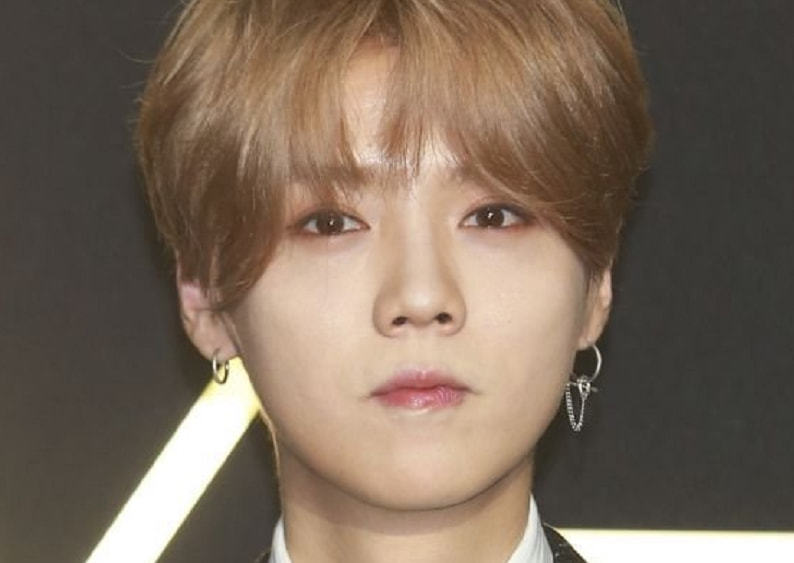 戴假發(fā)男明星的心靈與自然的奇妙之旅