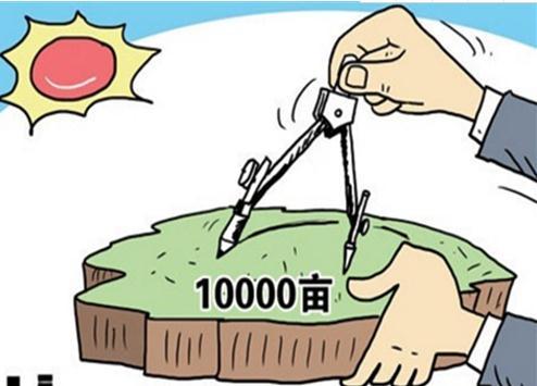 最新土地使用稅優(yōu)惠政策,最新土地使用稅優(yōu)惠政策的溫馨故事