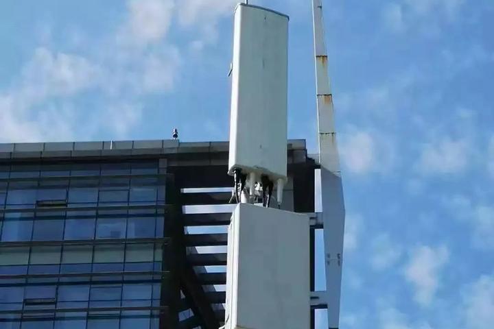 臺州市最新人事任免,臺州市最新人事任免動態(tài)解析