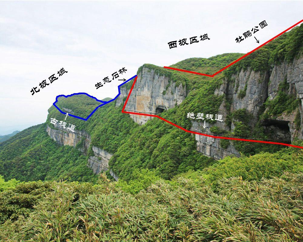 重慶輕軌環(huán)線最新消息,重慶輕軌環(huán)線最新消息之我見