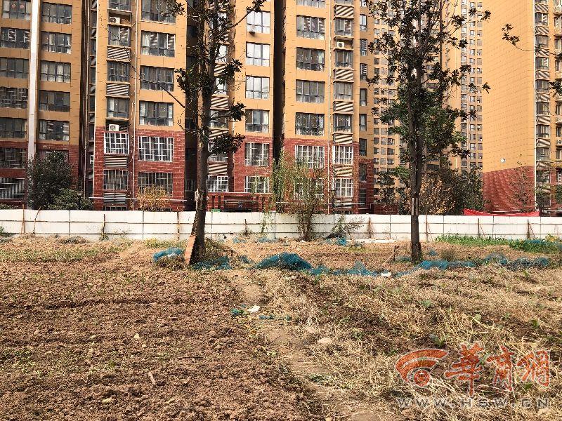 香繽國(guó)際城最新動(dòng)態(tài)發(fā)布????