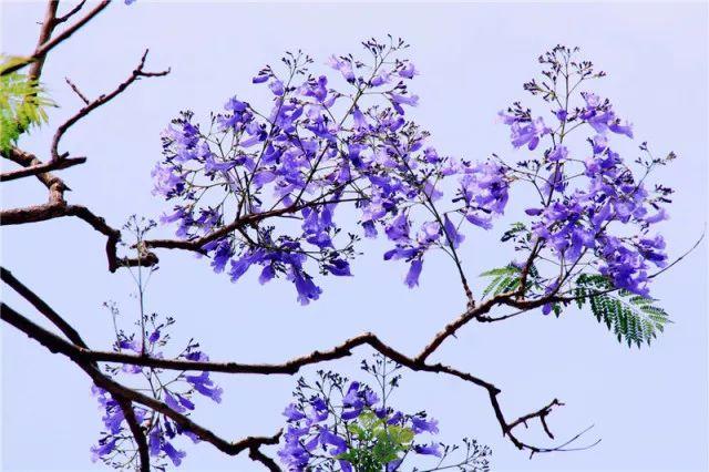 最新廈門地圖及其使用指南