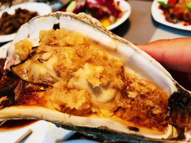 濟(jì)南黑老大科技產(chǎn)品介紹及最新動態(tài)