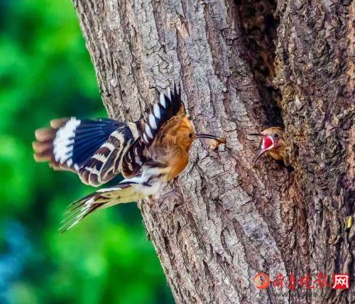 濟(jì)南黑老大科技產(chǎn)品介紹及最新動態(tài)
