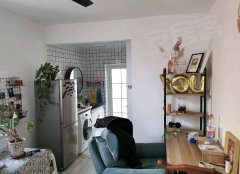 青縣最新二手房,青縣最新二手房的那些溫馨趣事