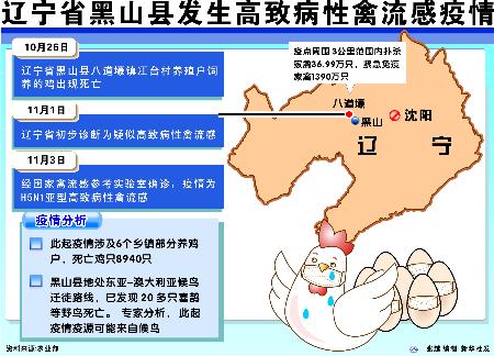 遼寧禽流感最新消息更新