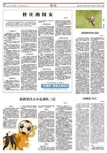 平頂山大鷹報紙最新版,時代印記與傳承的力量