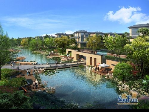 美錦云天最新進展及小巷獨特風味探秘揭秘