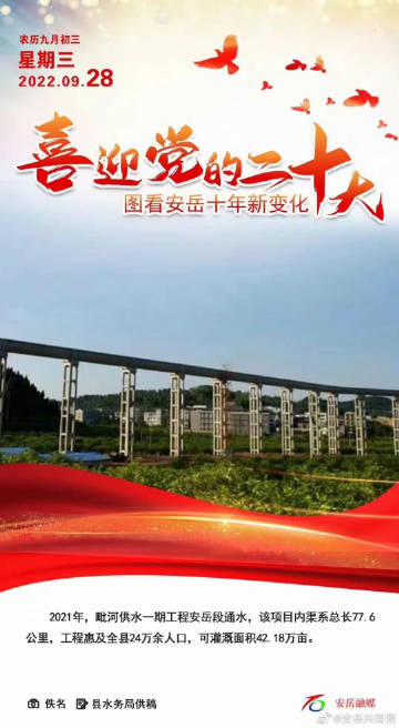 安岳亮劍行動最新動態(tài)深度分析與觀點闡述