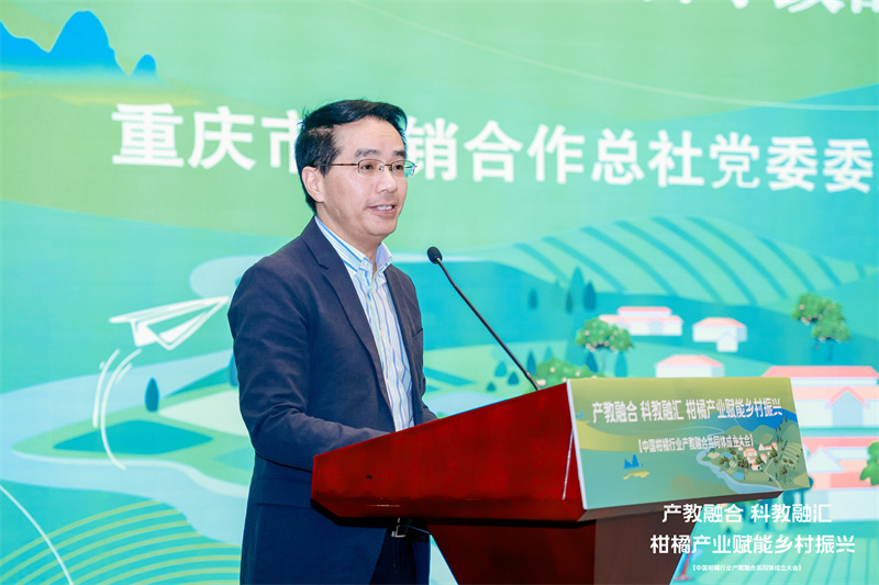 重慶張國青的最新動態(tài)與溫馨日常