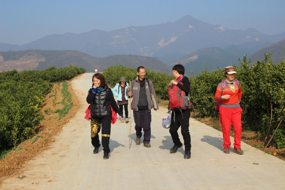 城固高鐵站最新消息解讀與獲取指南