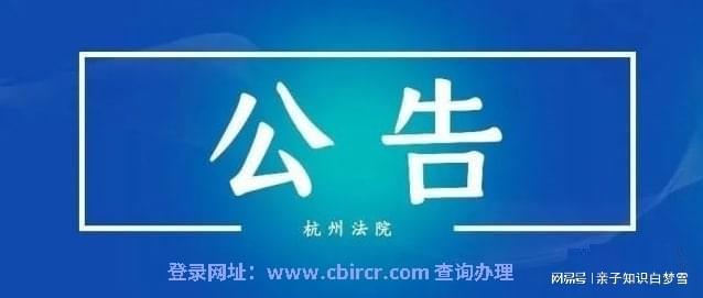 三三寶利來(lái)最新動(dòng)態(tài)揭秘，小巷中的隱藏特色小店