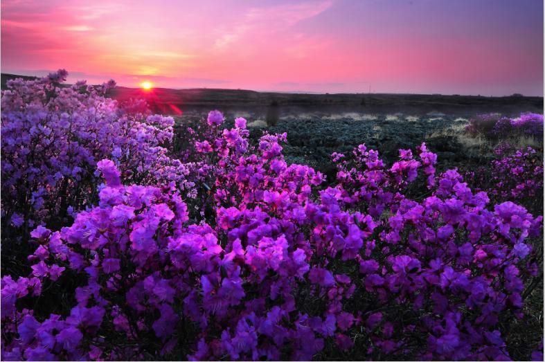 龍江春天的最新進(jìn)展及其深度觀點(diǎn)分析