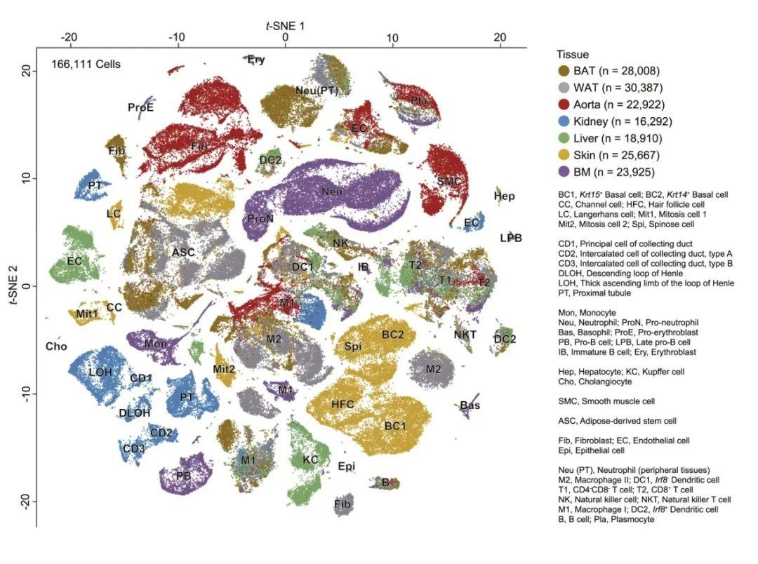 骨髓研究最新進展與深度了解學習指南