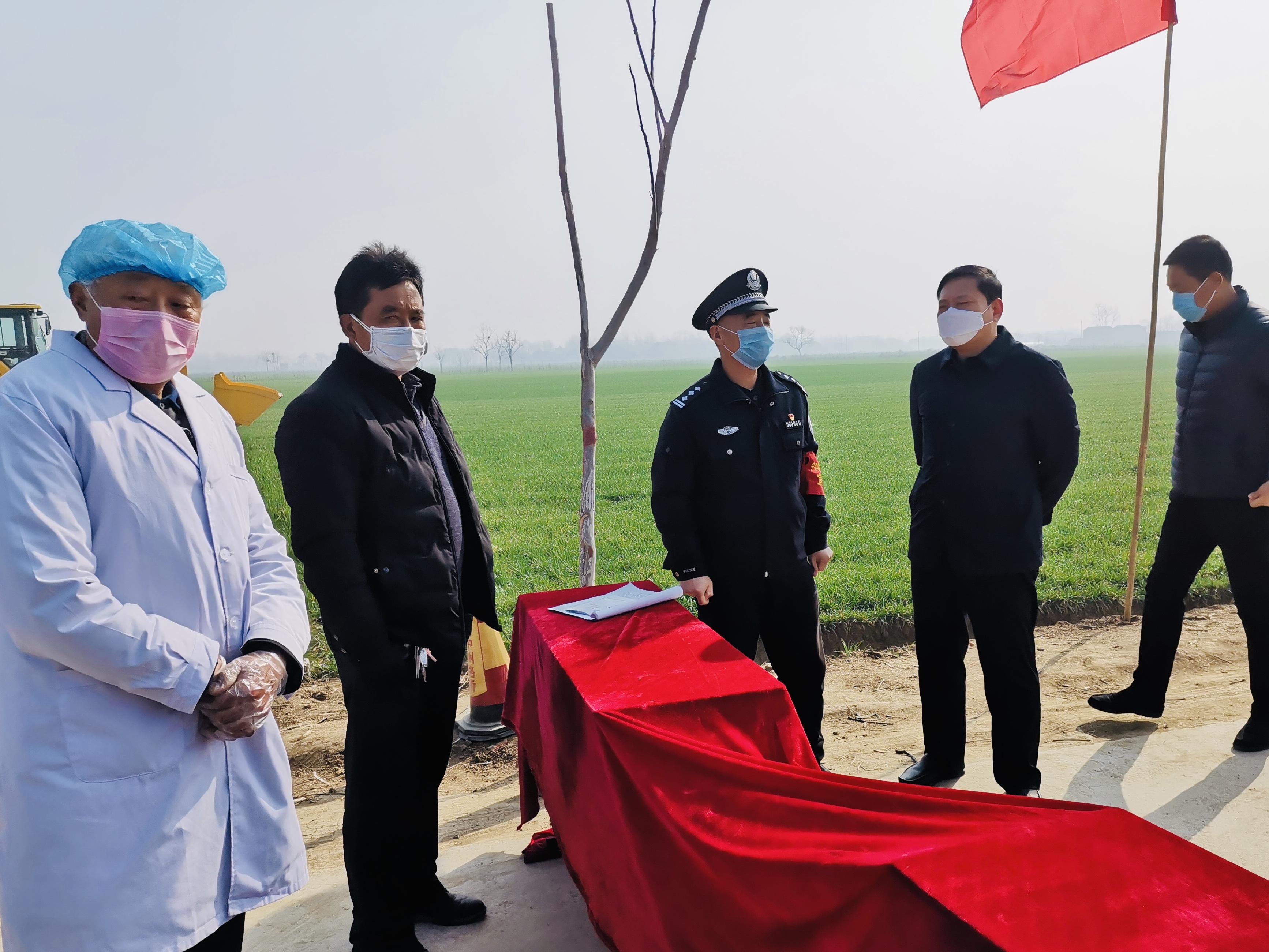 最新疫情動態(tài)與觀點論述