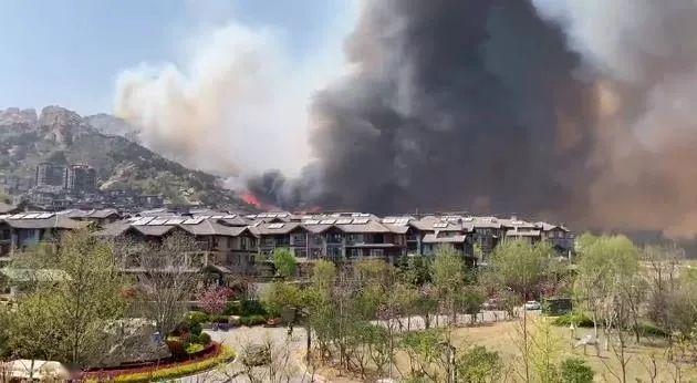 小珠山火災(zāi)最新情況及應(yīng)對(duì)山林火災(zāi)的步驟指南