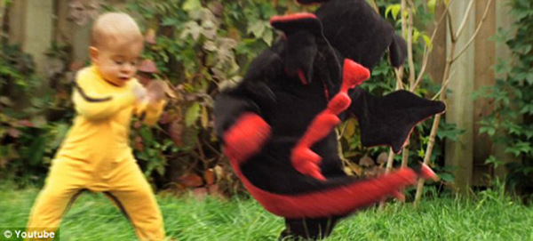 最新功夫恐龍攻略,步驟指南與玩法解析