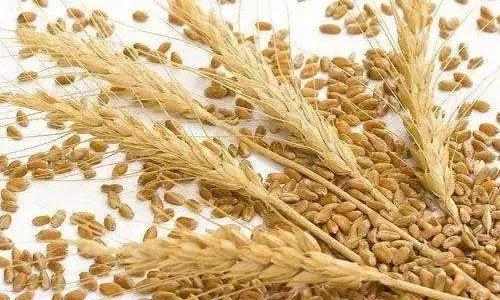 最新豆油報(bào)價(jià)獲取指南及市場(chǎng)行情分析