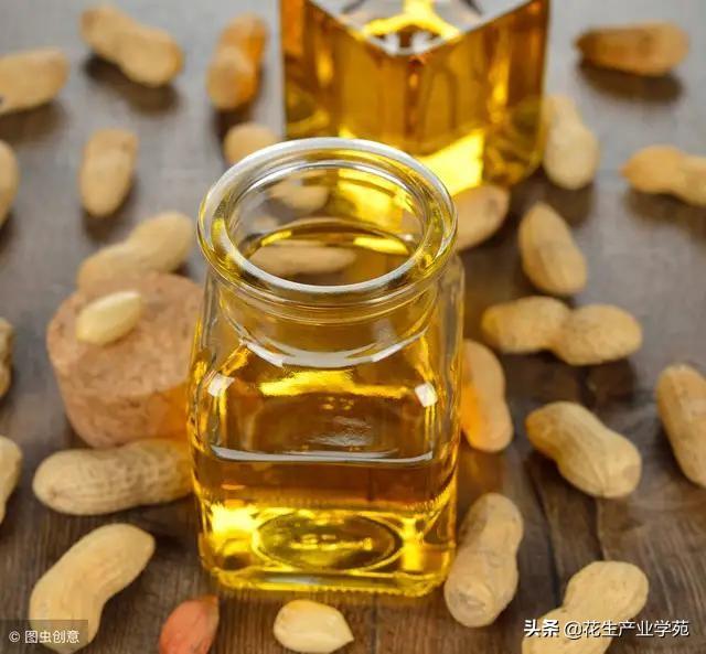 最新豆油報(bào)價(jià)獲取指南及市場(chǎng)行情分析