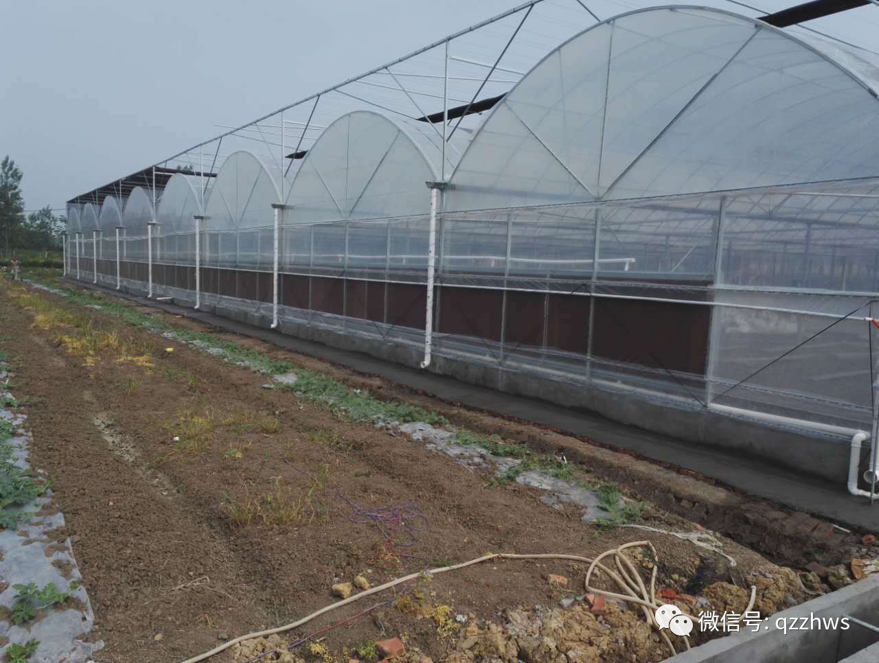 最新大棚溫室技術(shù)及其觀點(diǎn)論述