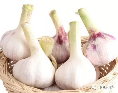 大蒜價格今日最新行情更新