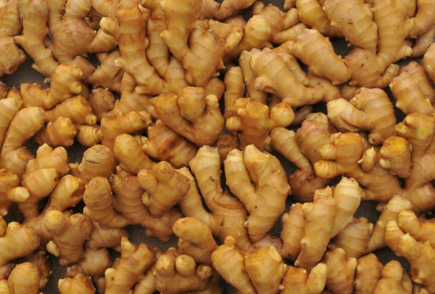 玉米最新價格走勢圖及其背后的溫情故事揭秘