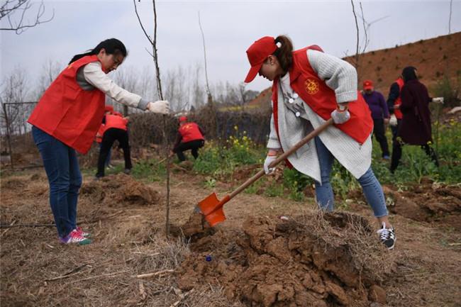 平頂山最新招聘信息更新及動態(tài)匯總