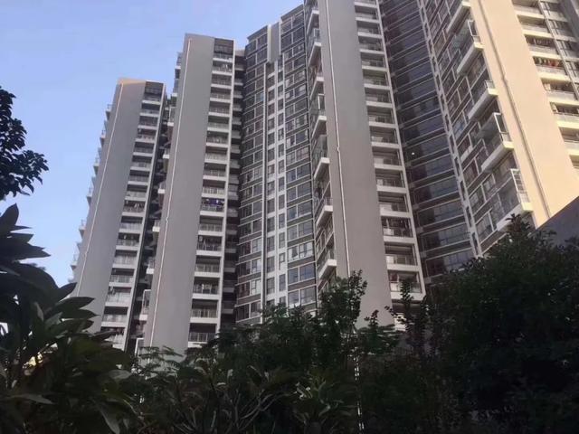 深圳最新小產(chǎn)權(quán)房動(dòng)態(tài)與概述