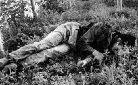 公主嶺最新動態(tài)更新