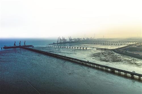 嘉興港區(qū)房價最新動態(tài)與市場走勢分析