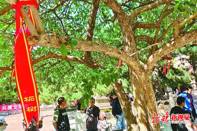 門頭溝潭柘寺最新動態(tài)報道