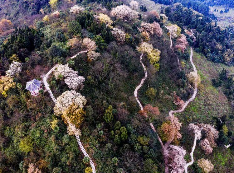 長(zhǎng)壽區(qū)大洪湖最新動(dòng)態(tài)及步驟指南