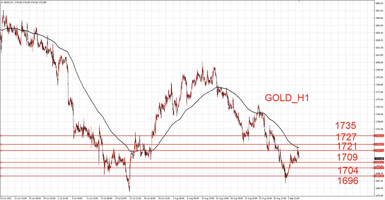 國際黃金基金持倉比例最新動態(tài)與市場洞察分析
